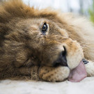 20131105_PD2121_LR.jpg