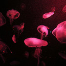 20131107_PD5063_LR.jpg