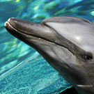 20131107_PD5110_LR.jpg