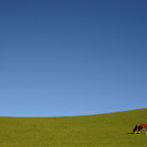 20131107_PD11311_LR.jpg