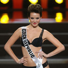 IBD1106-20131105.jpg