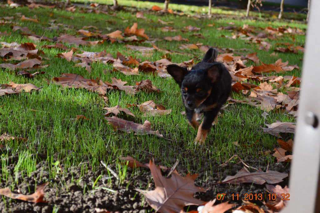 DSC_0577_1_.JPG