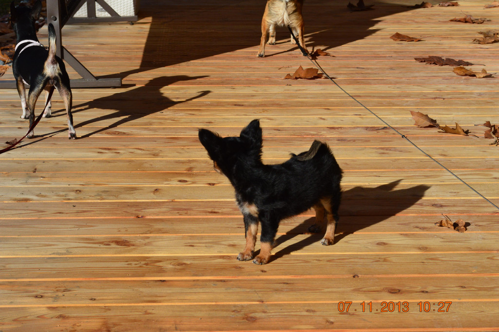 DSC_0569_1_.JPG