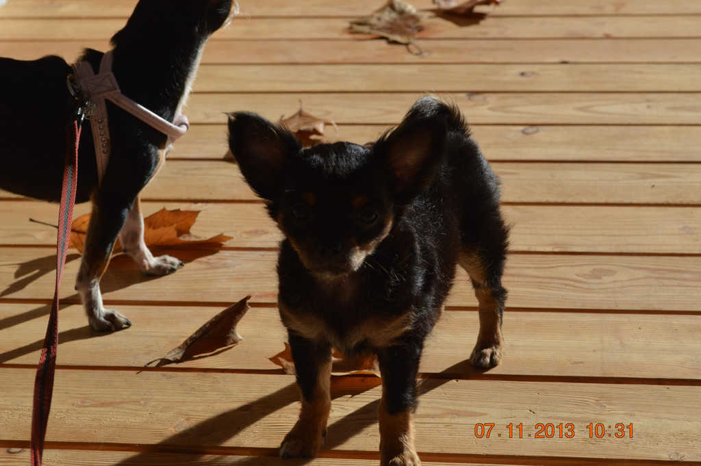 DSC_0574_1_.JPG