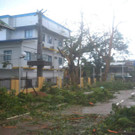 IBD0126-20131109.jpg