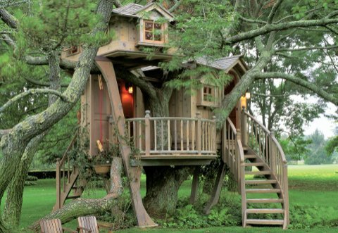 Baumhaus11.jpg