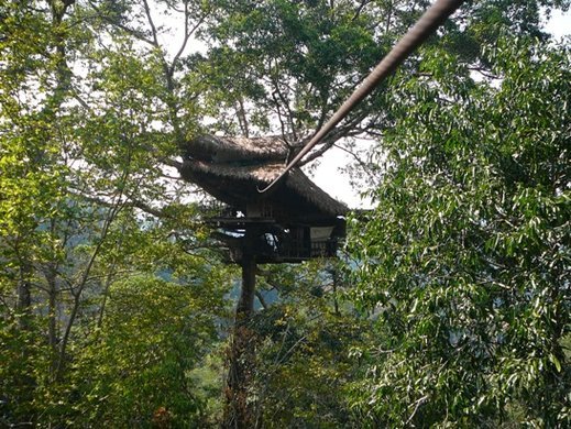 Baumhaus14.jpg