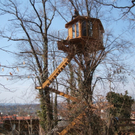 Baumhaus23.jpg