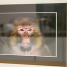 BK_Fotoclub_Kontakt_SPK FK 22.jpg