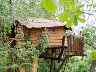Baumhaus26.jpg