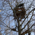 Baumhaus28.jpg