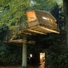Baumhaus35.jpg