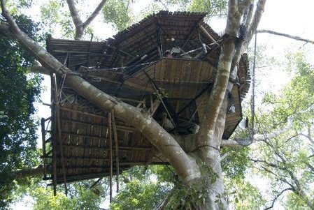 Baumhaus37.jpg