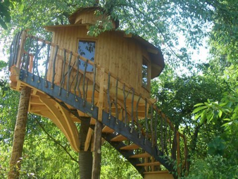 Baumhaus4.jpg
