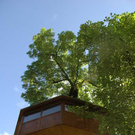 Baumhaus5.jpg
