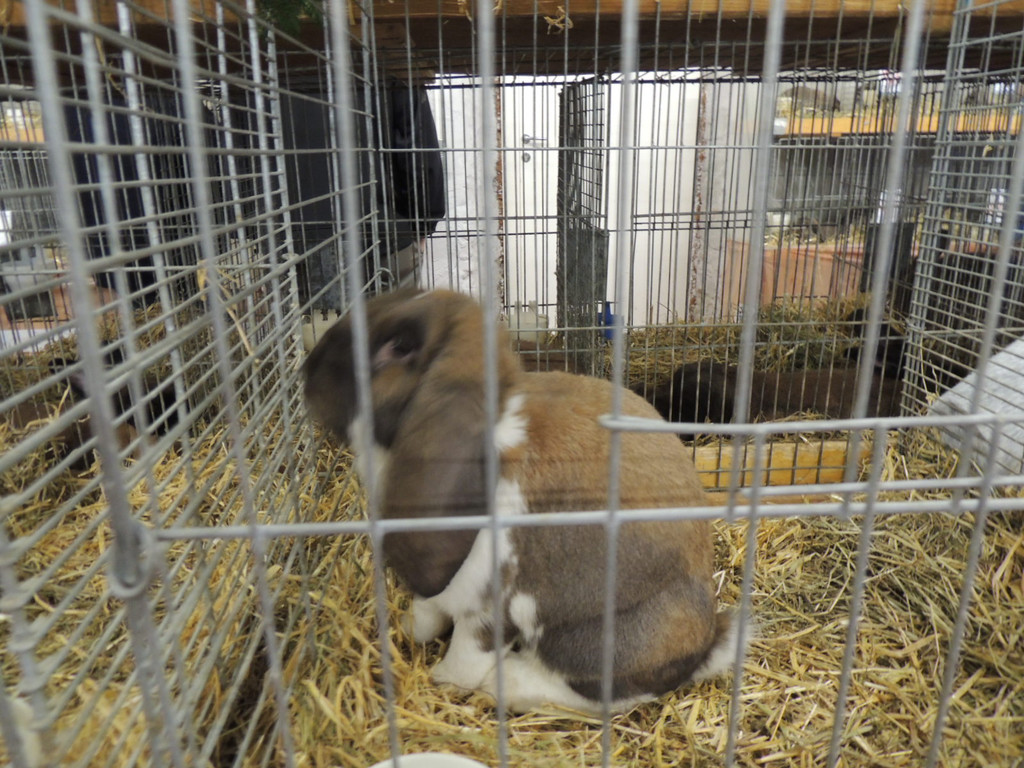 DSCN2311.JPG