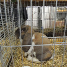 DSCN2311.JPG