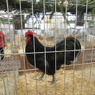 DSCN2314.JPG