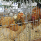 DSCN2316.JPG