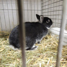DSCN2329.JPG