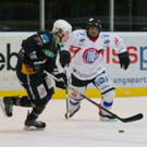 IMG_4536.jpg