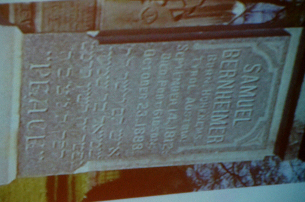 DSC03718.JPG