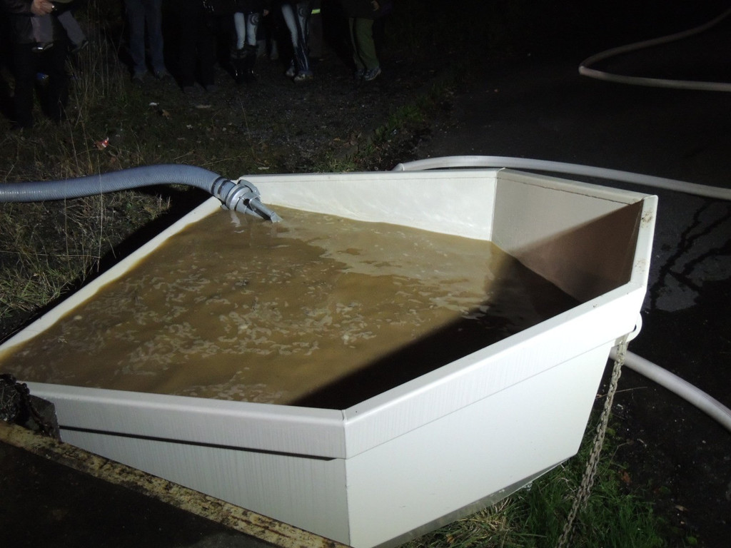 DSCN1335.JPG