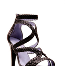 Shoetation_06.jpg