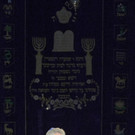 ABD0027-20131110.jpg