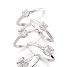 Ring_2.jpg