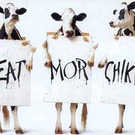 Top oder Flop - Fun: Die Top 10