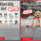 Wien startet Kampagne gegen illegalen Welpenhandel: Folder 