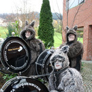 Fasching Auftakt PF__TZA-PFIEFA 11-11-2013 _32_.jpg