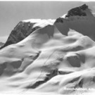 lech2_001.jpg