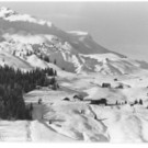 lech4.jpg