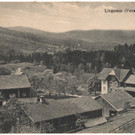 lingenau1_001.jpg