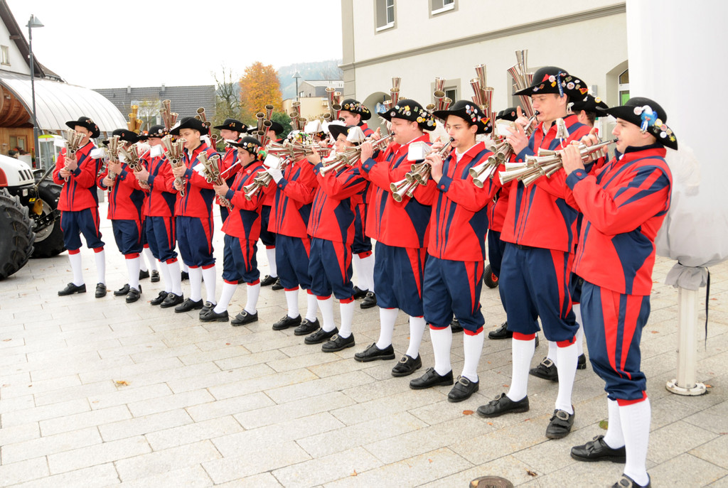 Fasnat Ho__chst 11-11-2013 23.jpg