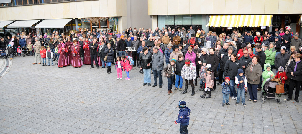 Fasnat Ho__chst 11-11-2013 46.jpg