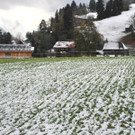 Bild 03.JPG