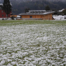 DSCN0446.JPG