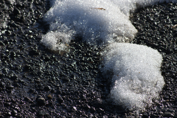 DSC05770.JPG