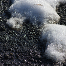 Frühlingserwachen März 2010