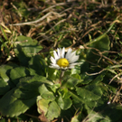 DSC05779.JPG