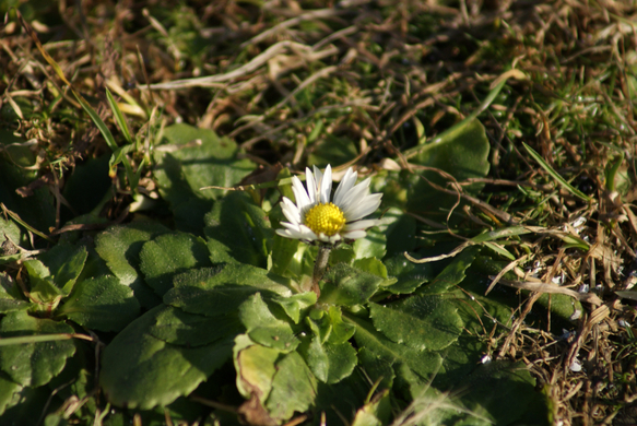 DSC05779.JPG