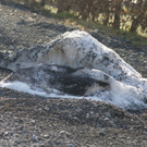 DSC05781.JPG