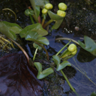 DSC05784.JPG
