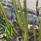 DSC05789.JPG