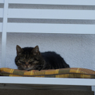 DSC05791.JPG