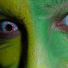 mini-11_11_2013 152.JPG