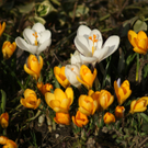 DSC05795.JPG